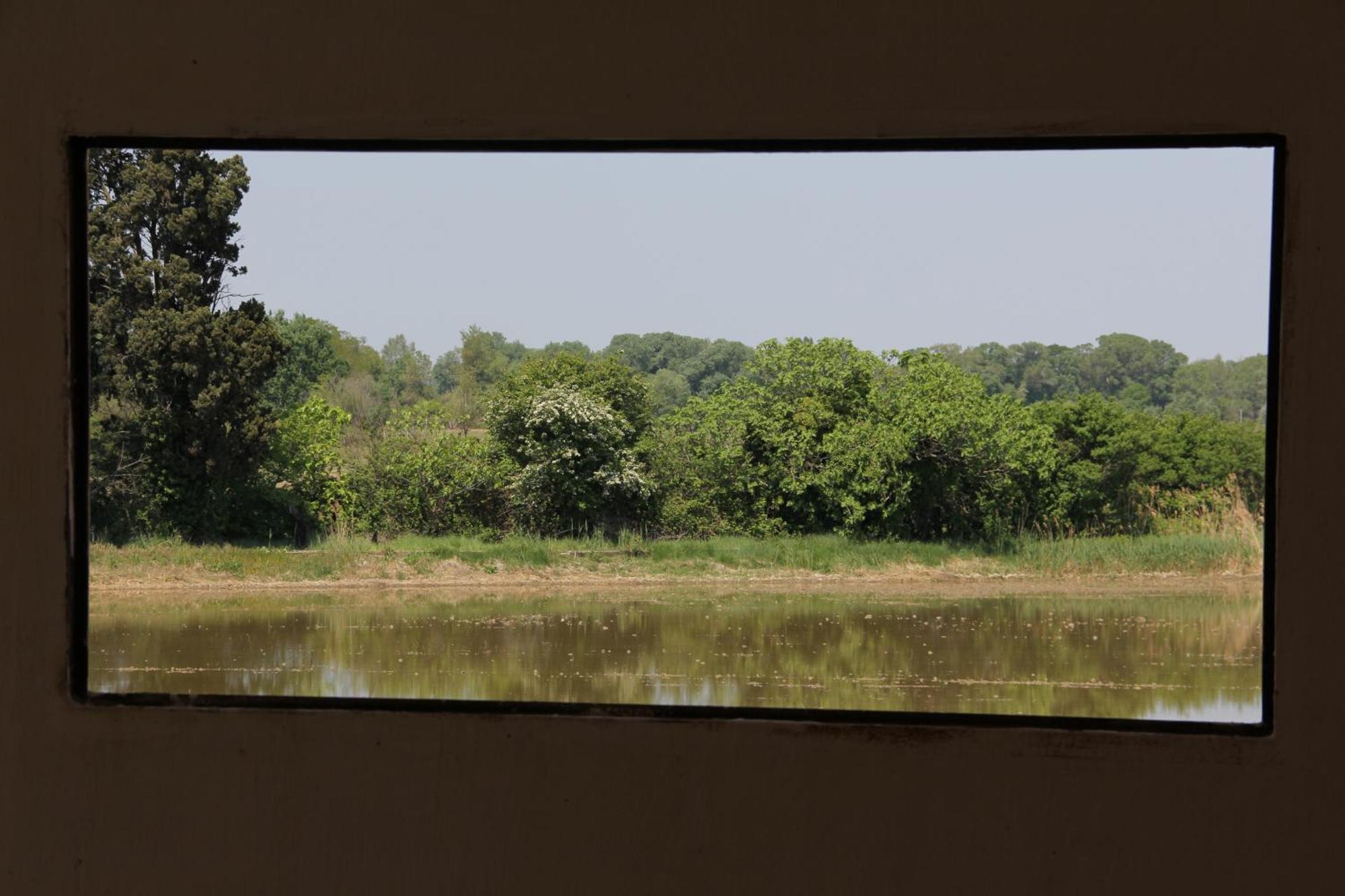 Mas De Bouvet En Camargue Bed and Breakfast Albaron Buitenkant foto