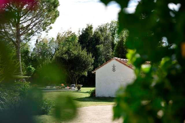 Mas De Bouvet En Camargue Bed and Breakfast Albaron Buitenkant foto